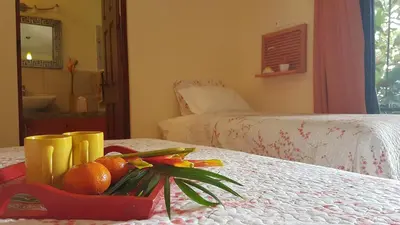 a tray of fruit on a table in a bedroom at Tacacori EcoLodge in Alajuela City