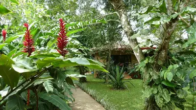 a garden with red flowers in front of a house at Tacacori EcoLodge in Alajuela City