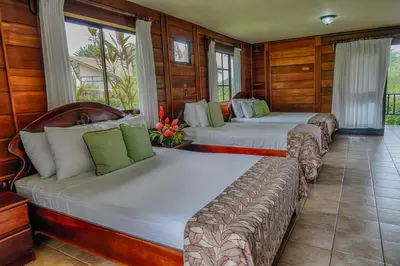 a row of beds in a room with wooden walls at Montaña de fuego Mountain Resort & Spa in Fortuna