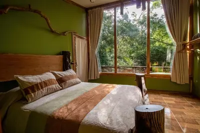 a bedroom with a bed with green walls and a window at Canopy Wonders Vacation Home in Monteverde Costa Rica