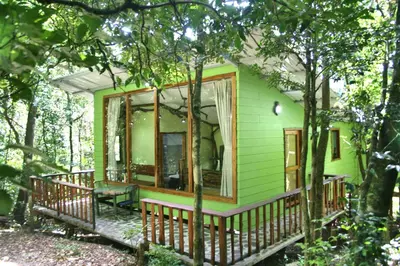 a green house with a large window on a porch at Canopy Wonders Vacation Home in Monteverde Costa Rica