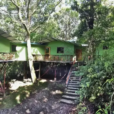 Canopy Wonders Vacation Home