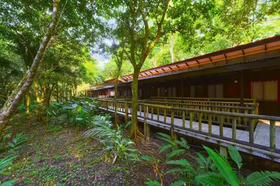 a wooden fence next to a building in a forest at Evergreen Lodge in Tortuguero