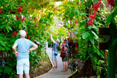 a group of people looking at plants in a garden at Evergreen Lodge in Tortuguero