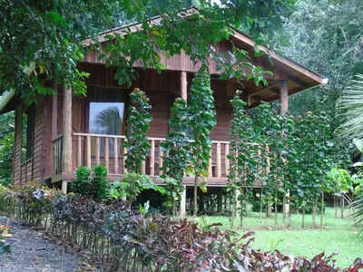 a wooden cabin in the middle of a garden at Cataratas Bijagua Lodge, incluye tour autoguiado Bijagua Waterfalls Hike in Bijagua