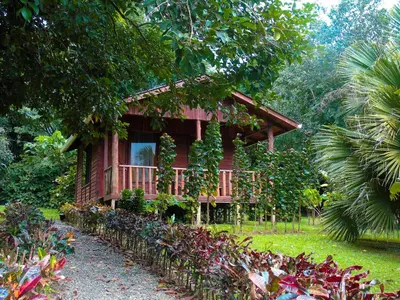 a red house in the middle of a forest at Cataratas Bijagua Lodge, incluye tour autoguiado Bijagua Waterfalls Hike in Bijagua