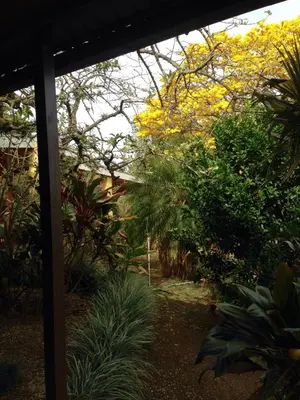 a view of a garden with trees and plants at ApartHotel Villa Pacande & Rooms in Alajuela City