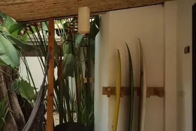 a room with a wall with a bunch of plants at El Chante Surf House in Santa Teresa Beach