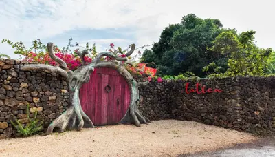a red door in a stone wall with flowers at Latica Lodge in Playa Negra