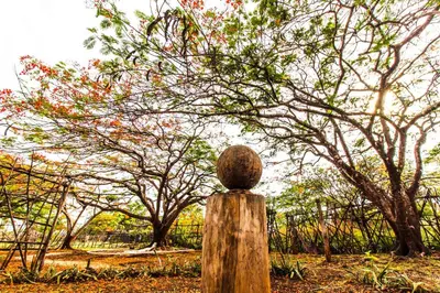a wooden post in front of a fence with trees at Latica Lodge in Playa Negra