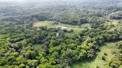 an aerial view of a field with trees at Iguanitas Lodge in Pital