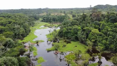 an aerial view of a river with trees at Iguanitas Lodge in Pital