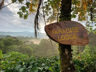 a sign that reads paradise lodge on a tree at Poolvilla in Platanillo