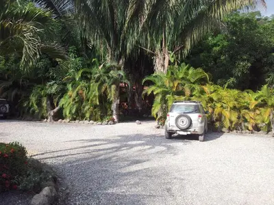 a small car parked next to a bunch of palm trees at Esencia Hotel and Villas in Santa Teresa Beach