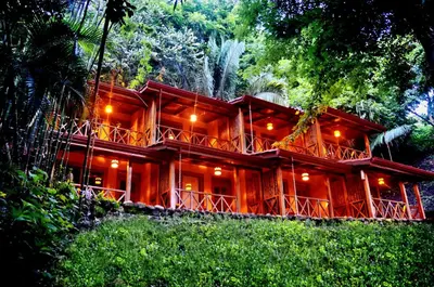 a wooden house in the middle of a forest at Esencia Hotel and Villas in Santa Teresa Beach