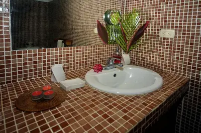 a bathroom sink with a plant on a tiled counter at Esencia Hotel and Villas in Santa Teresa Beach
