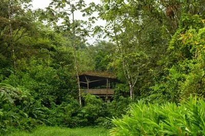 a building in the middle of the forest at Rancho Margot Sustainable & Self Sufficient Eco Lodge in El Castillo de La Fortuna