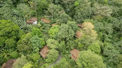 an overhead view of a forest with a house in the middle at Rancho Margot Sustainable & Self Sufficient Eco Lodge in El Castillo de La Fortuna