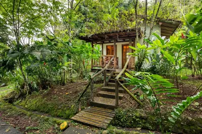 a small house in the middle of a forest at Rancho Margot Sustainable & Self Sufficient Eco Lodge in El Castillo de La Fortuna