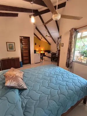 a large bed in the middle of a room at Cabañas Cañas Castilla in La Cruz