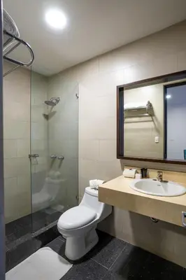a bathroom with a toilet and a sink and a shower at KC Hotel San Jose in San José
