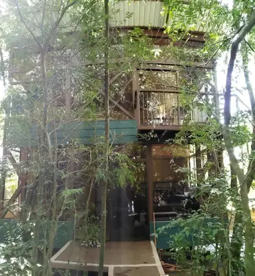 a tree house with a glass facade at Quality Cabins Monteverde in Monteverde Costa Rica