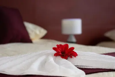 a white towel with a red flower on a bed at Nafre House B&B Monteverde in Monteverde Costa Rica