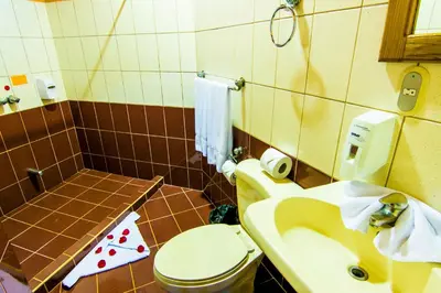 a bathroom with a toilet and a sink at Hotel Cipreses in Monteverde Costa Rica
