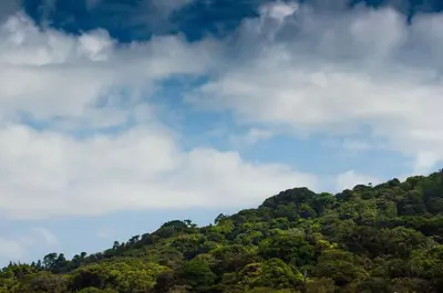 a hill covered in trees under a cloudy sky at Hotel Cipreses in Monteverde Costa Rica