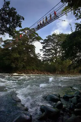 a group of people on a suspension bridge over a river at Tirimbina Rainforest Lodge in Sarapiquí