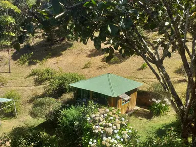 a small building with a green roof in a garden at Las Cataratas Lodge in San Gerardo de Dota