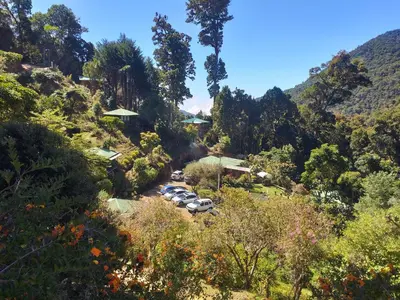 a group of cars parked on a hill with trees at Las Cataratas Lodge in San Gerardo de Dota