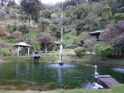 a fountain in the middle of a pond at Las Cataratas Lodge in San Gerardo de Dota