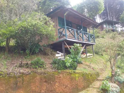 a wooden house on top of a hill at Las Cataratas Lodge in San Gerardo de Dota