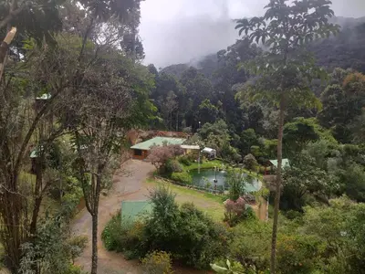 a house in the middle of a forest with a pool at Las Cataratas Lodge in San Gerardo de Dota