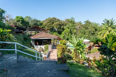 a stairway leading to a building with a bunch of bananas at Bongo - Adults Only in Manuel Antonio