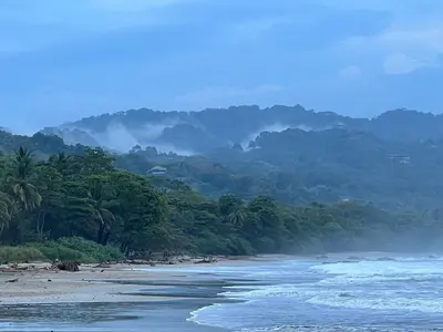 a view of a beach with trees and water at Hotel Santa Teresa by the Beach in Santa Teresa Beach