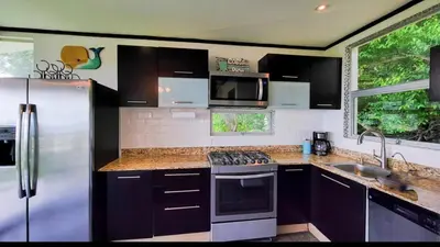 a kitchen with a stainless steel refrigerator and a sink at Gorgeous Ocean View Private home, 4 bedrooms with en suite, private plunge pool in Coco
