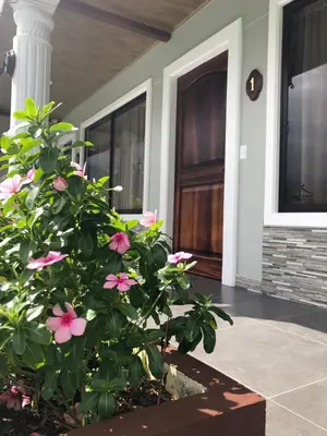 a plant with pink flowers in front of a house at Campos Arenal Hotel in Fortuna