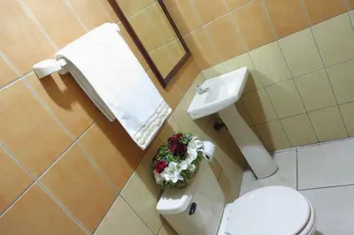 a bathroom with a toilet and a sink at Hotel Quinta Avenida in San José