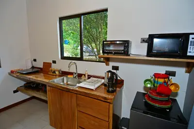 a kitchen with a sink and a microwave at Aves de Tierras Altas in Bijagua