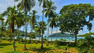 a view of the beach and palm trees at HRG Condos at Los Sueños in Jacó