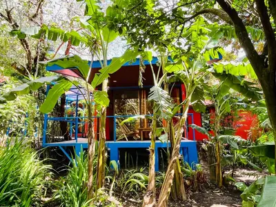 a colorful house in the middle of a garden at El Sol Monteverde in Monteverde Costa Rica