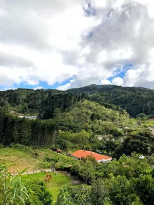 a view of a hill with trees and a building at Cabaña Vista Verde in Cartago