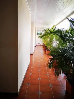 a hallway with a row of potted plants at Hotel Amaranto in San Ramón