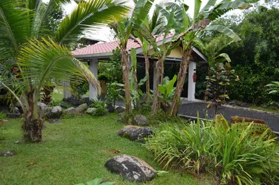 a garden with trees and rocks in front of a house at Casa Sophia 3 listings Apartment 1 or Apartment 2 separately or Apt 1 and 2 together all with FO internet in Guápiles