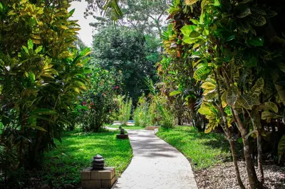 a path through a garden with trees and grass at Lodge Margouillat in Tambor