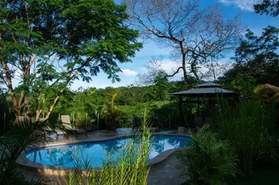 a swimming pool with a gazebo and trees at Lodge Margouillat in Tambor