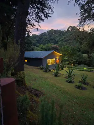 a small house in a yard with a tree at Monteverde Casa Mia, near main attractions and town! in Monteverde Costa Rica