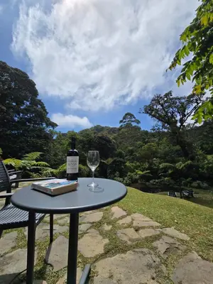 a table with a bottle of wine and a glass at Monteverde Casa Mia, near main attractions and town! in Monteverde Costa Rica
